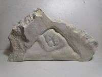 2024-03/img-20231210-181204