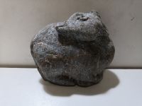 2024-03/img-20231210-182229